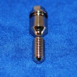 Abutment Screw: bolts the abtment onto the fixture